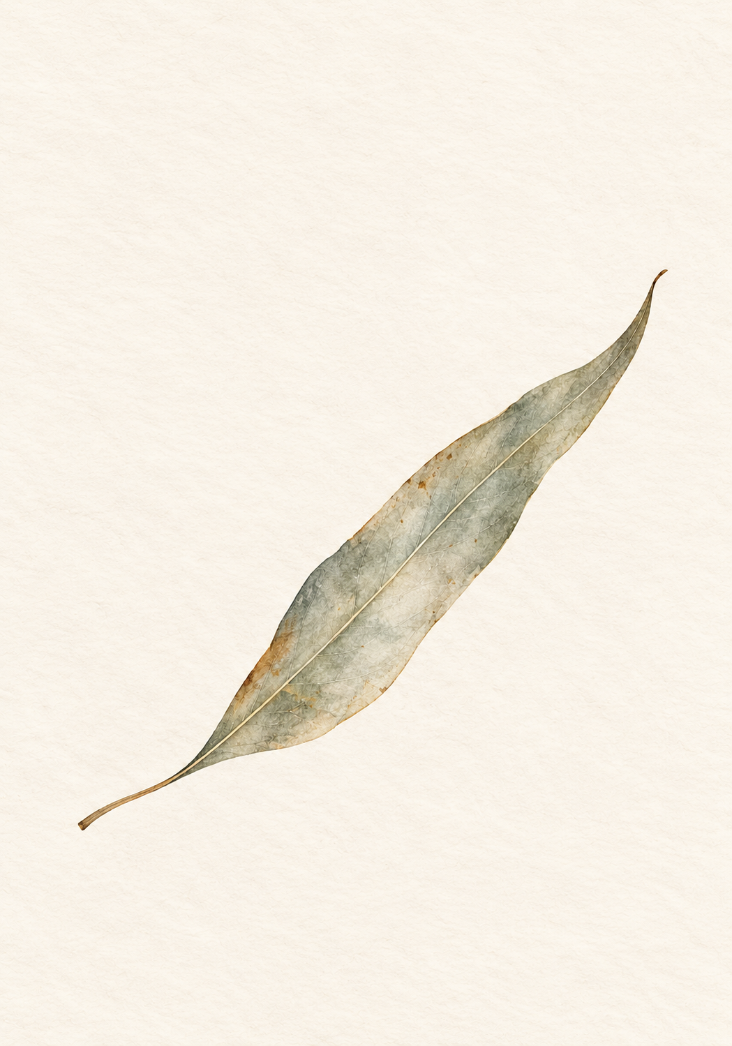Silver Leaf — painterly art print by Exartify